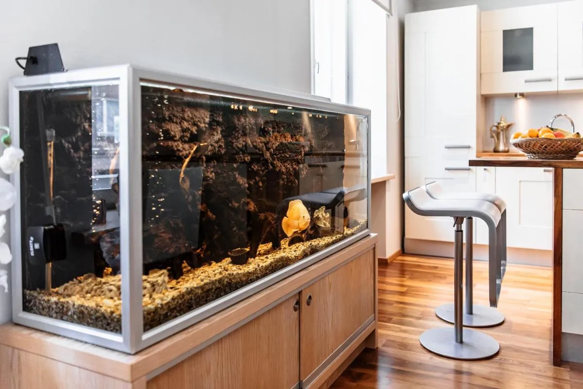 Image 4 of AirHome – Golden Fish