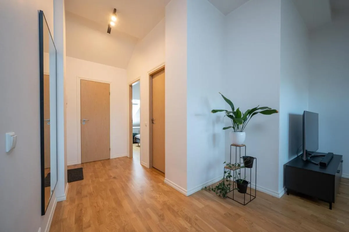 Image 4 of Central & Cozy Rooftop Flat