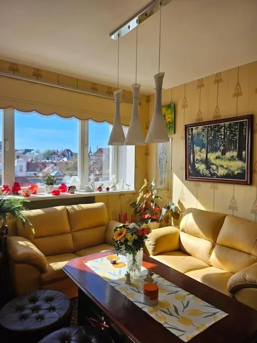 Image 3 of Comfort of city central with charming view