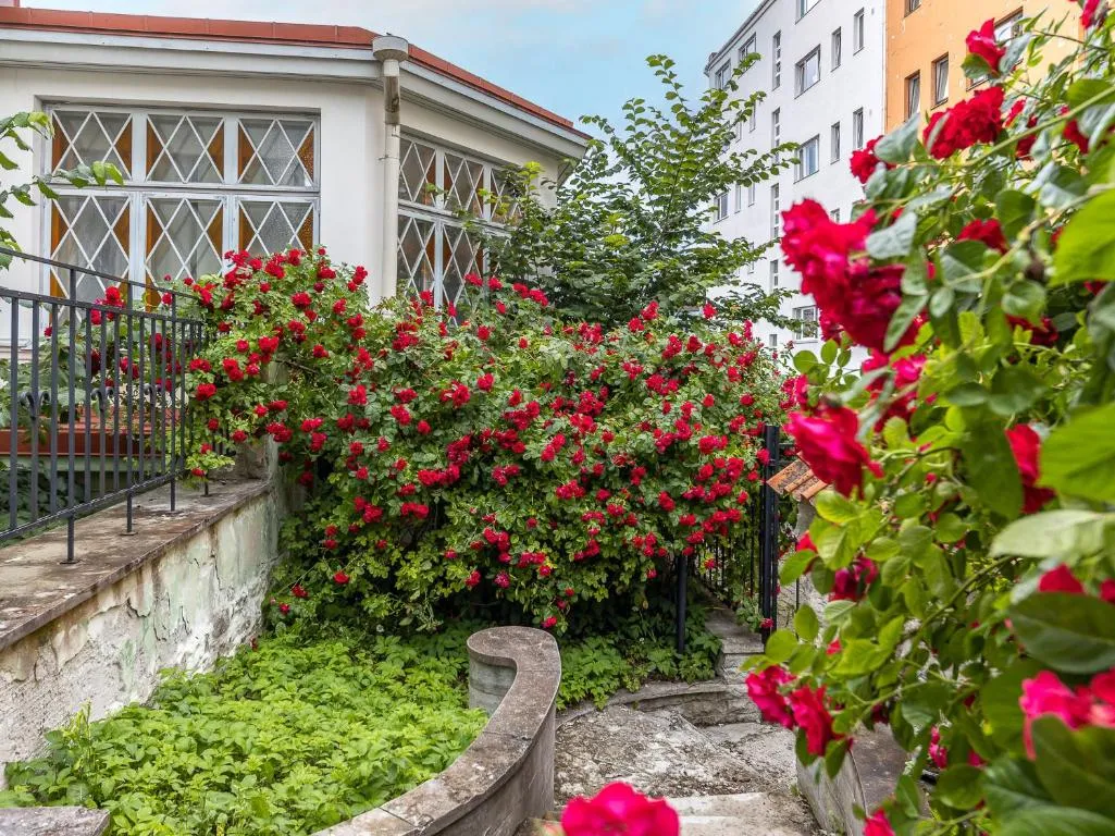 Image of TallinnHousing Old Town Elegance Vana-Viru