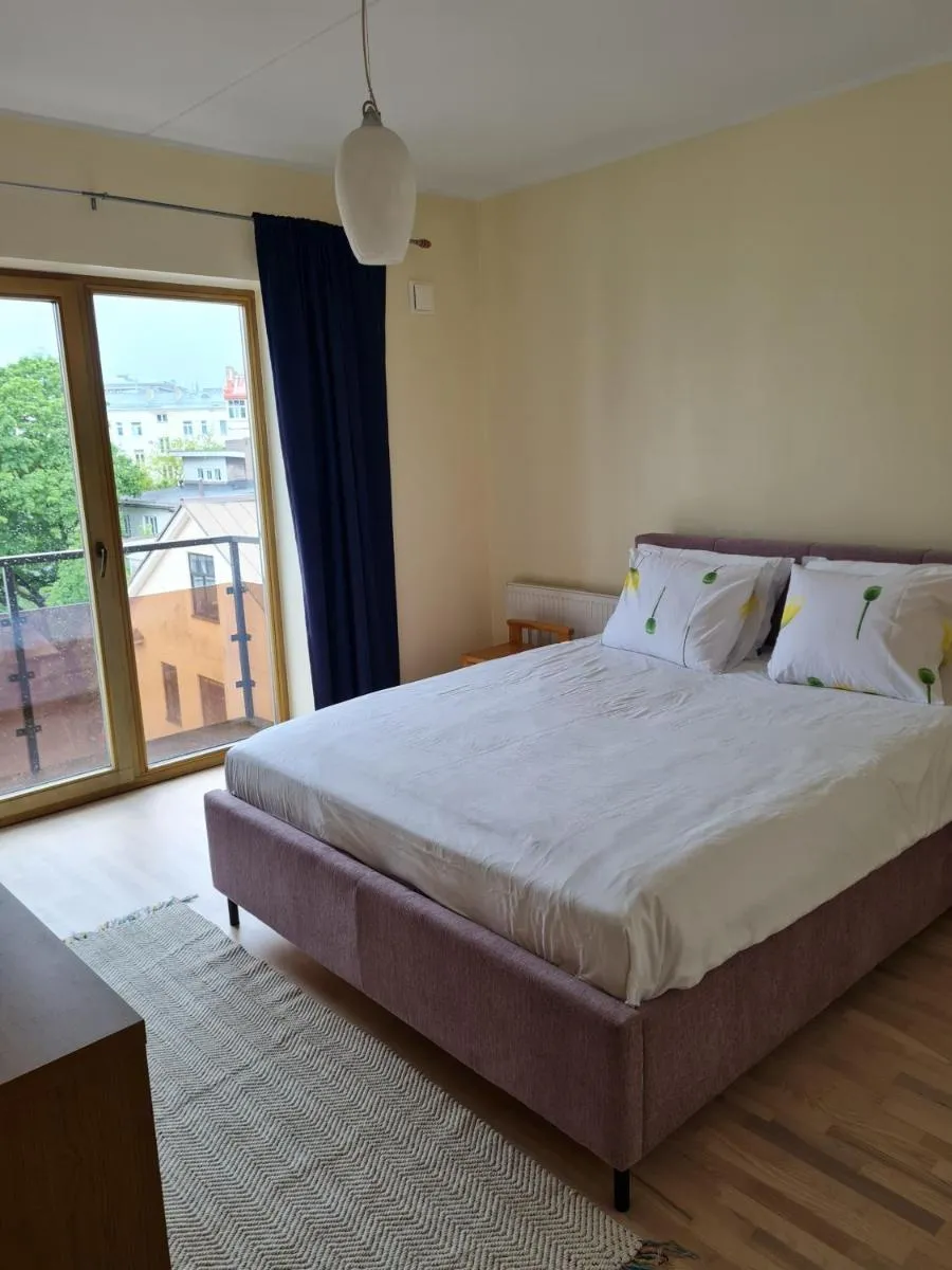 Image 1 of Cozy one bedroom apartment in city center