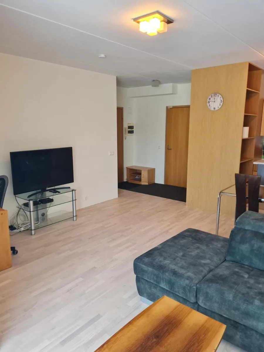 Image 4 of Cozy one bedroom apartment in city center