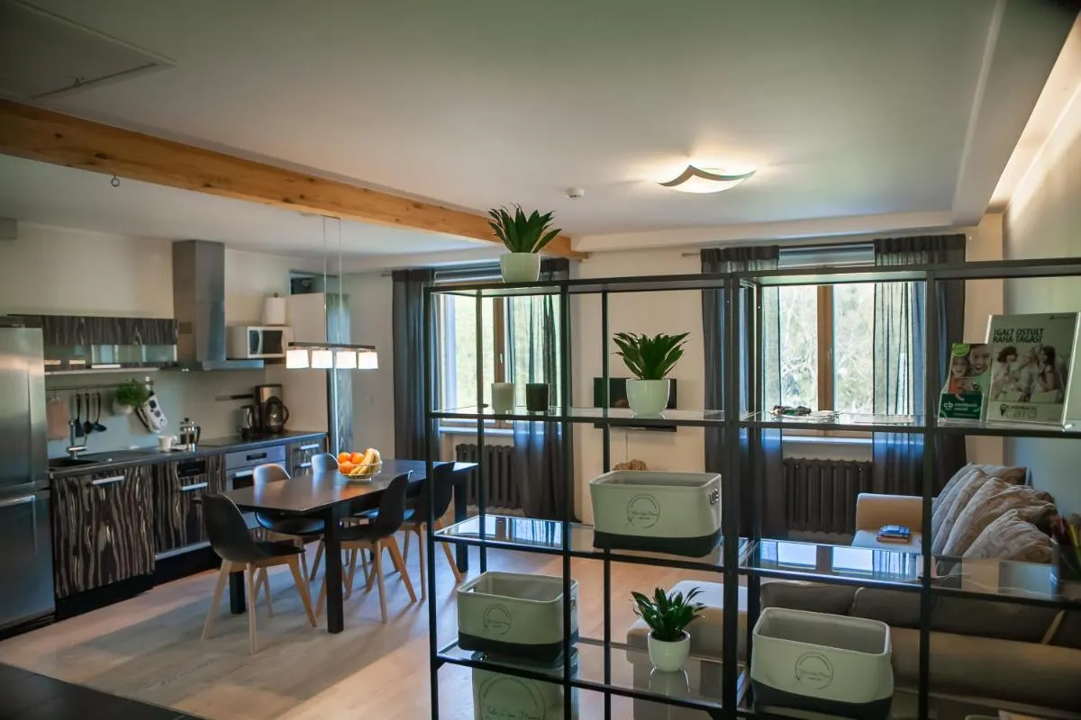 Image 3 of Hermann View Apartment