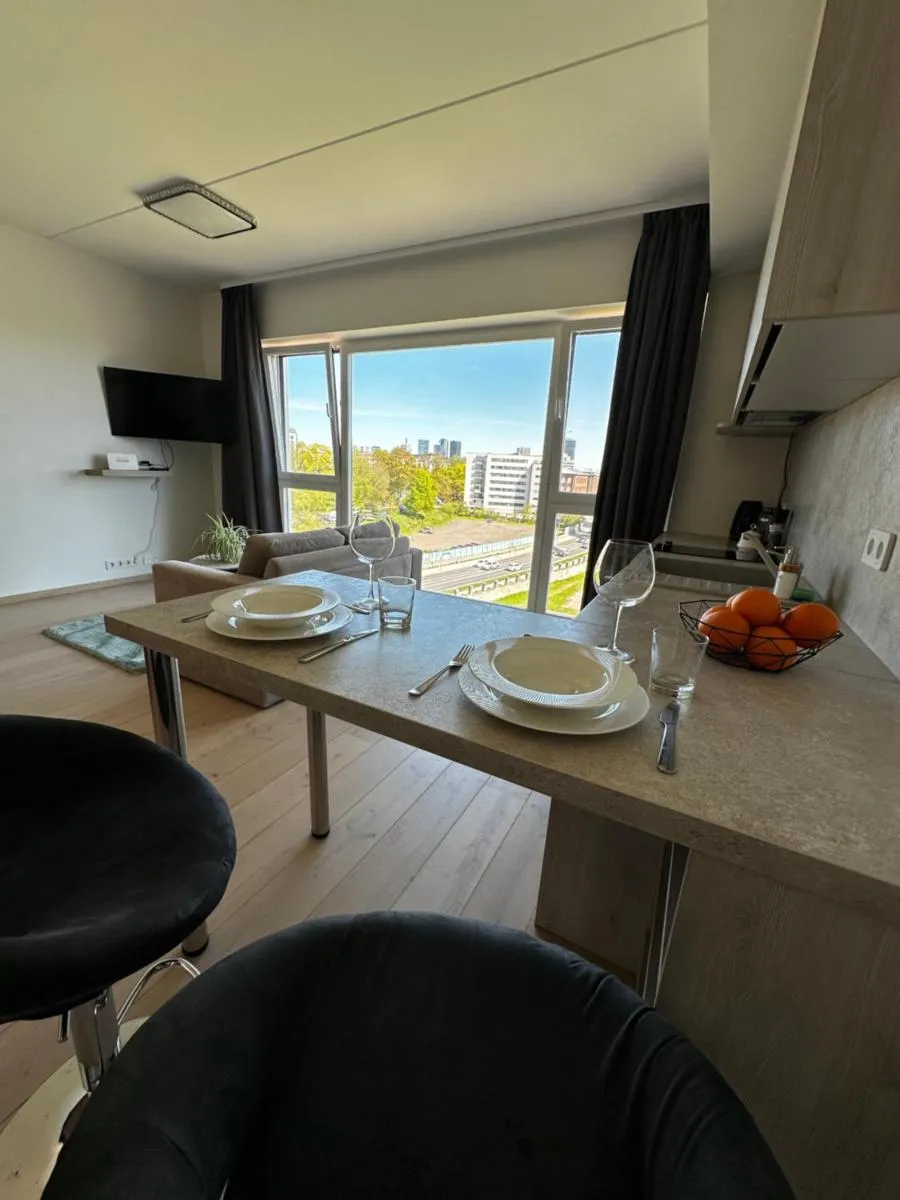 Image 6 of Modern Apartment with Great View