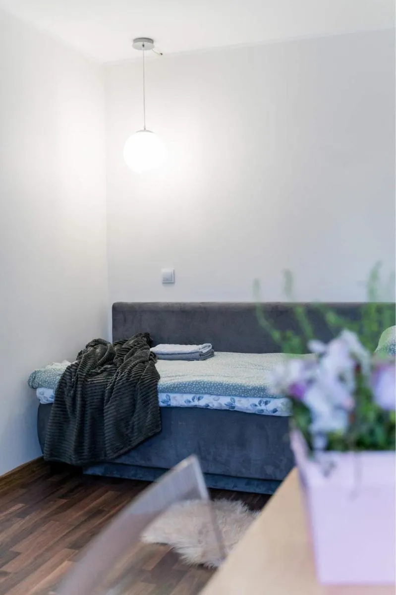 Image 3 of Cozy Studio on Veerenni St, garden views.