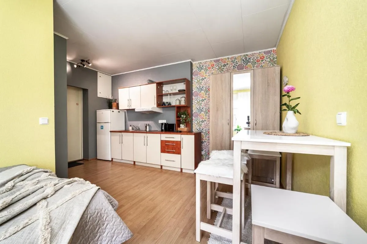 Image 3 of Peaceful studio with desk & free parking near city center