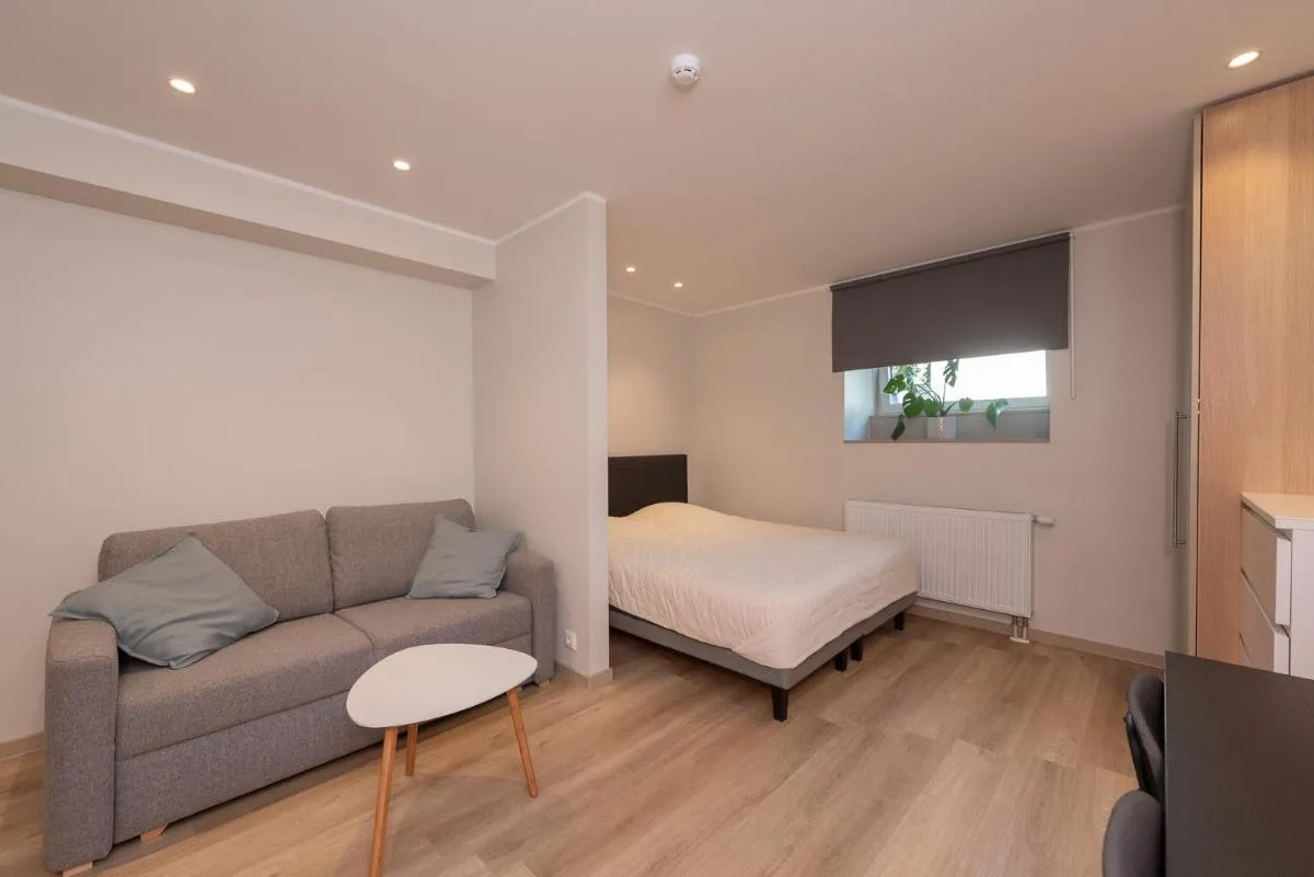 Image 6 of Roosikrantsi Studio Apartments