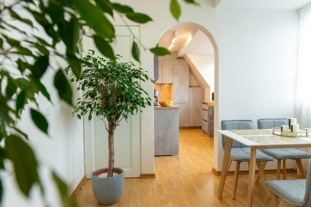 Image 1 of TOP FLOOR APARTMENT with TWO BALCONIES in the OLD TOWN